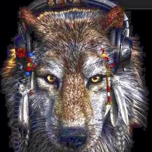 Meet your Posher, Curtis